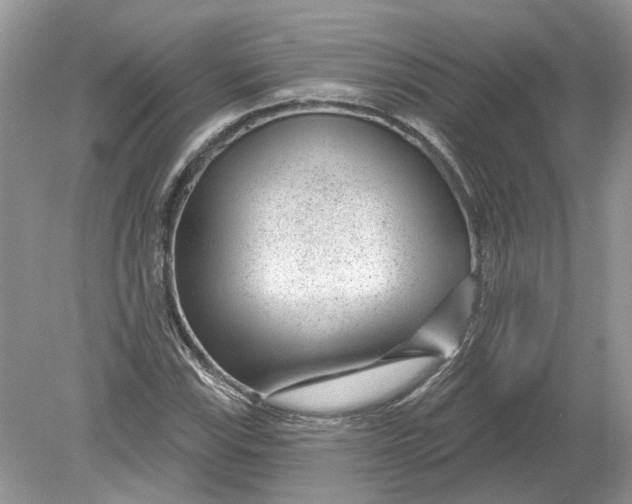 X0000078891115200612042043