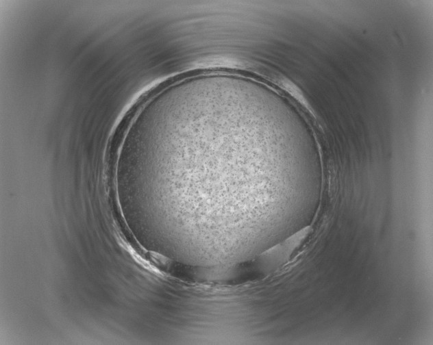 X0000078891116200612042043