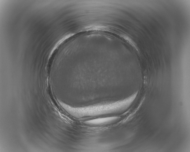 X0000078891117200612042043