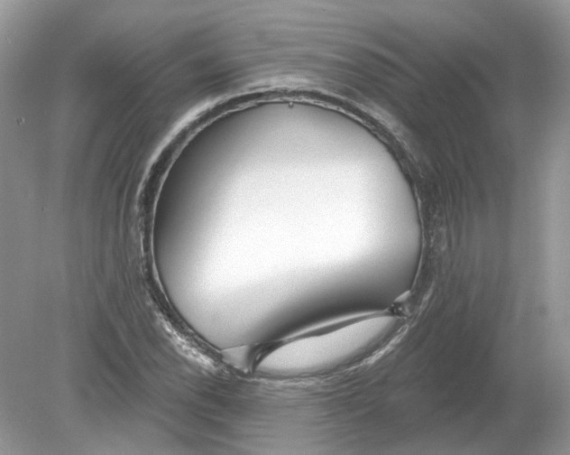 X0000078891118200612042043