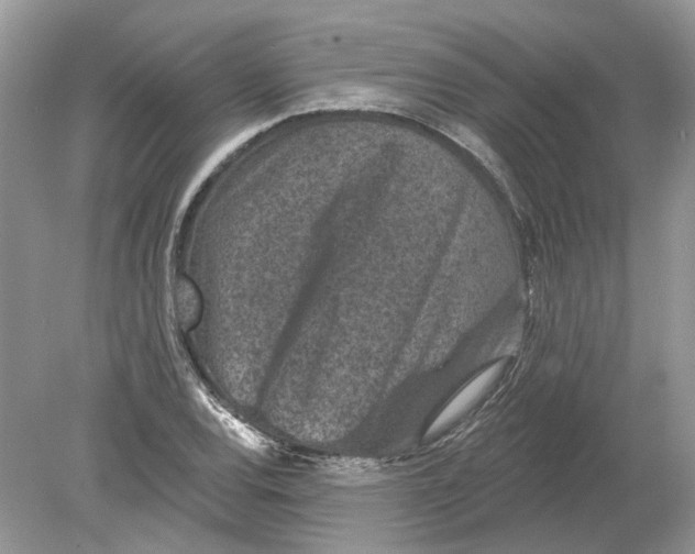 X0000078891120200612042043