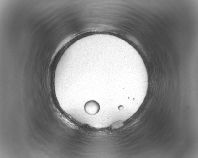 X0000078891122200612042043