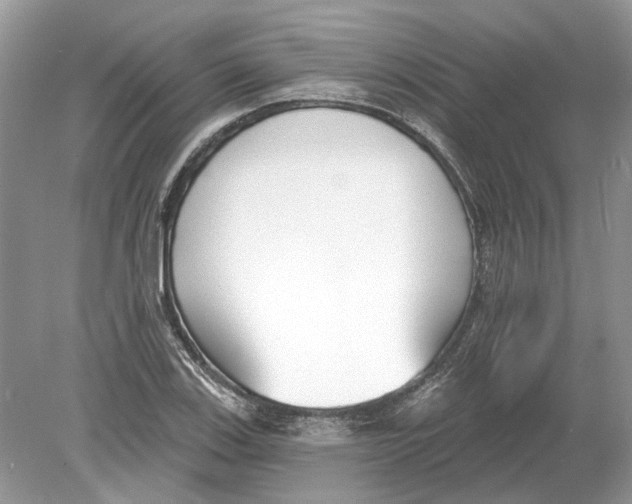 X0000078891123200612042043