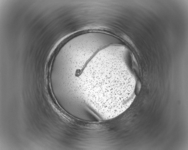 X0000078891124200612042043