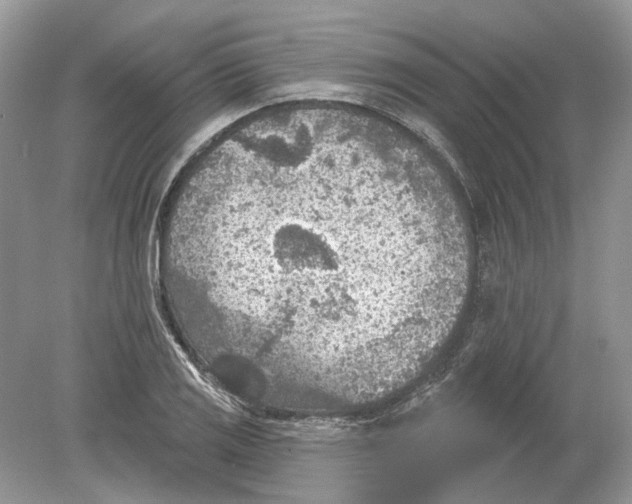 X0000078891125200612042043