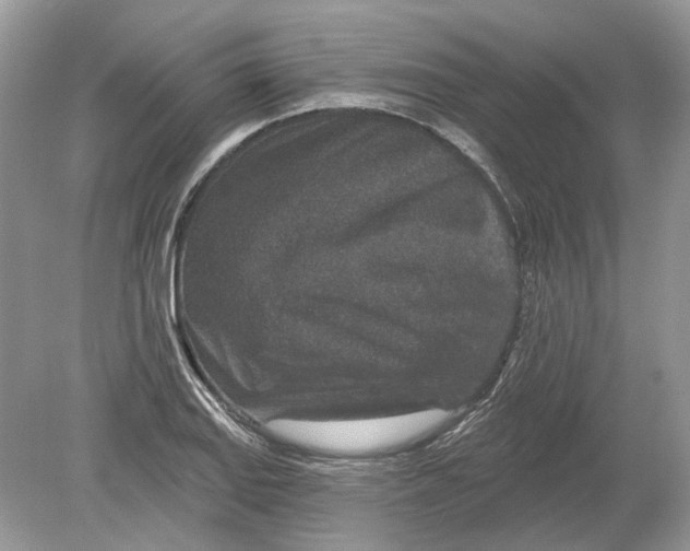 X0000078891127200612042043