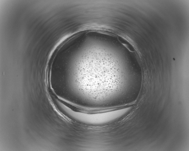 X0000078891128200612042043