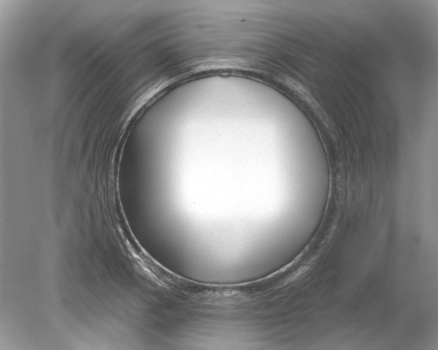 X0000078891129200612042043