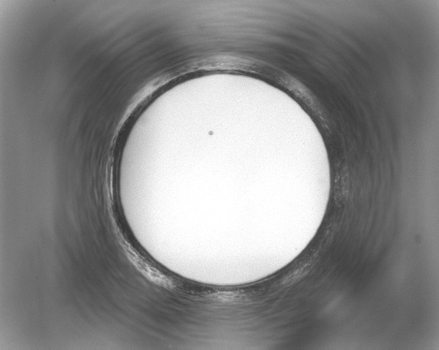 X0000078891130200612042043