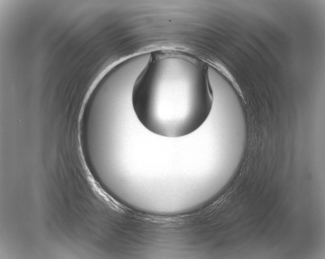 X0000078891132200612042043