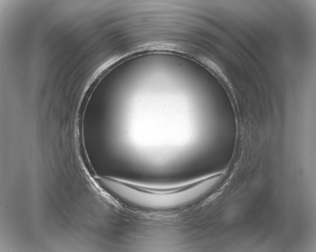 X0000078891133200612042043