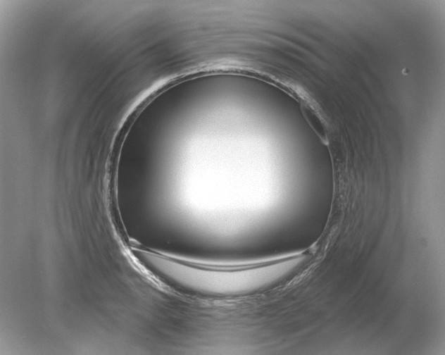 X0000078891134200612042043