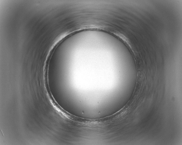 X0000078891135200612042043