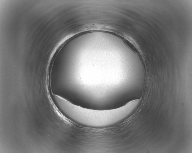 X0000078891136200612042043