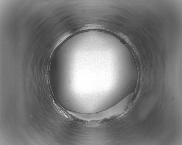 X0000078891137200612042043