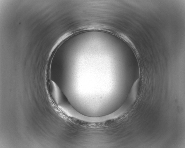 X0000078891138200612042043