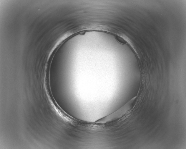 X0000078891139200612042043