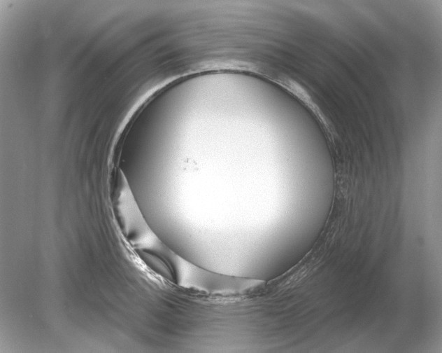 X0000078891140200612042043