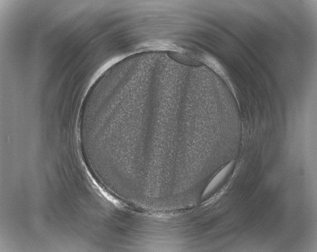 X0000078891141200612042043