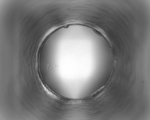 X0000078891143200612042043