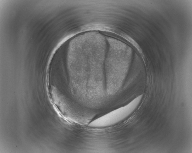 X0000078891144200612042043