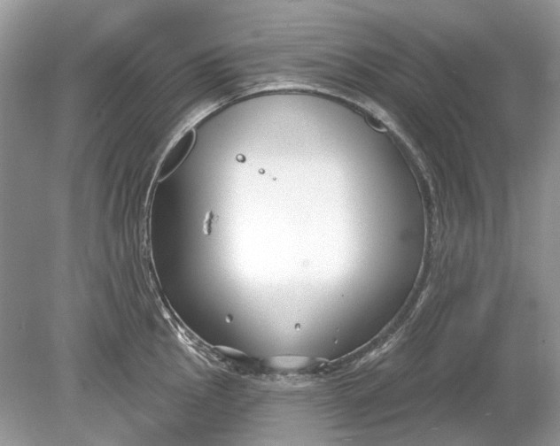 X0000078891145200612042043