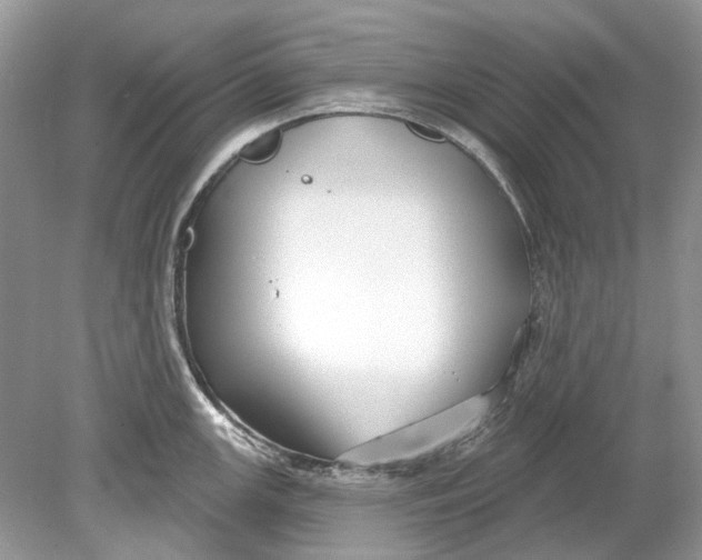 X0000078891147200612042043