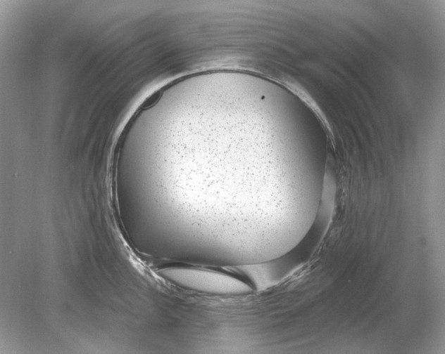 X0000078891148200612042043