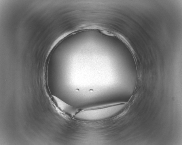 X0000078891149200612042043