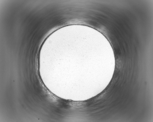 X0000078891150200612042043