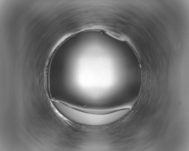 X0000078891151200612042043