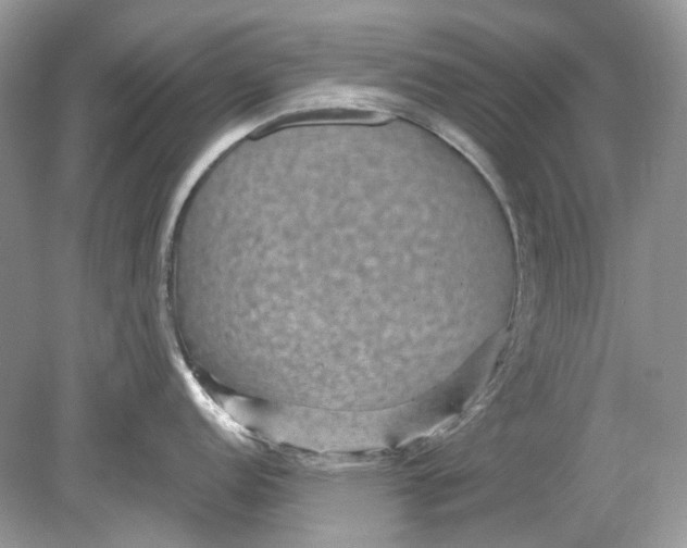 X0000078891152200612042043