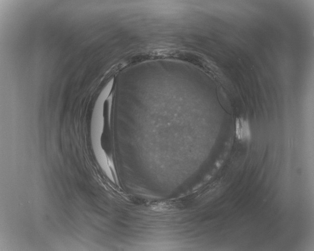 X0000078891155200612042043