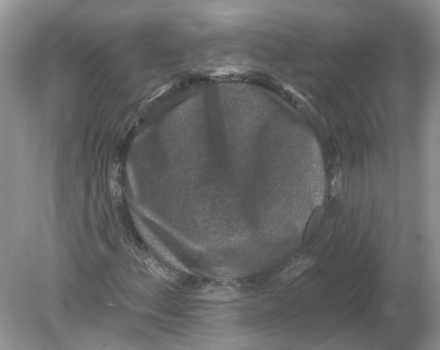 X0000078891156200612042043