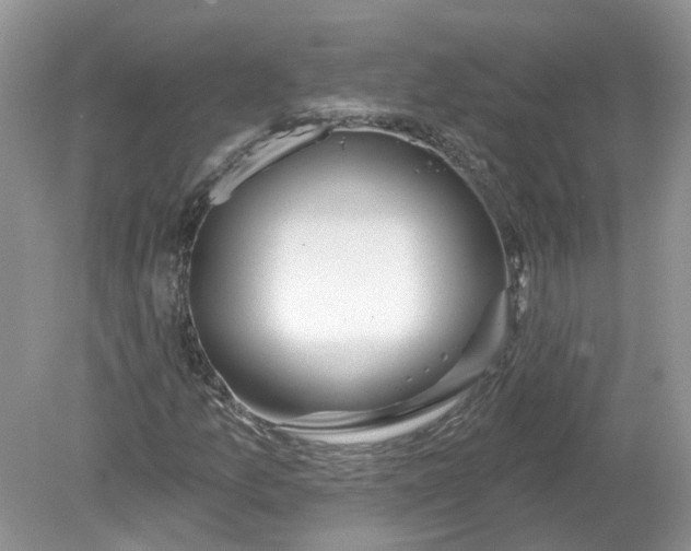 X0000078891157200612042043