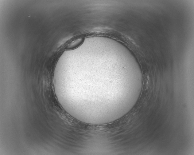 X0000078891158200612042043