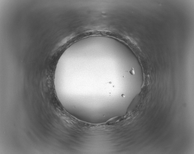 X0000078891159200612042043