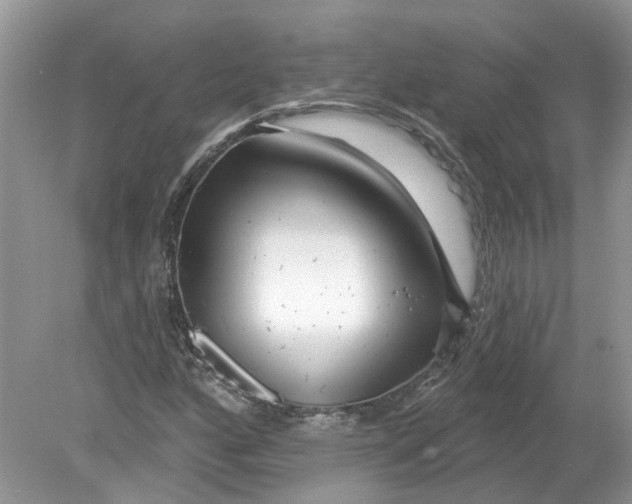 X0000078891160200612042043