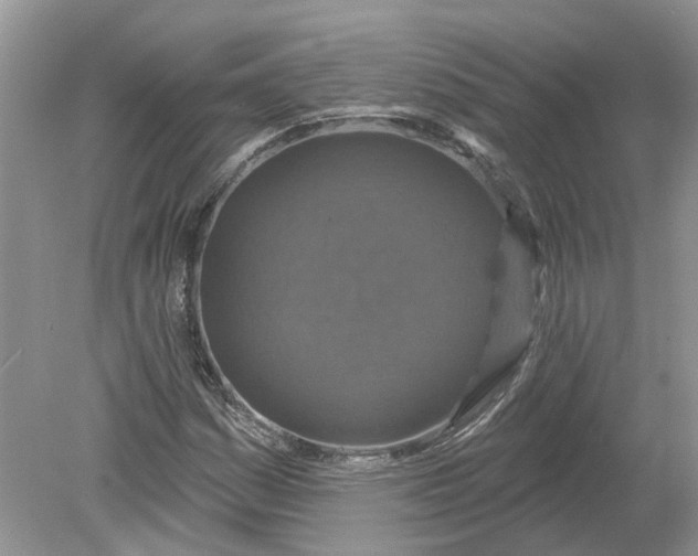 X0000078891161200612042043