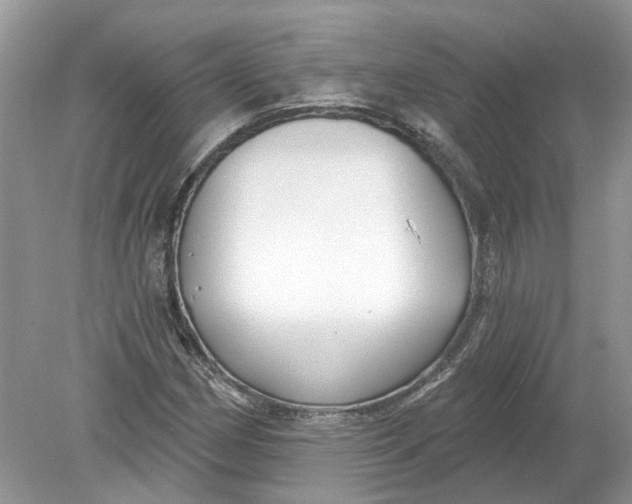 X0000078891162200612042042