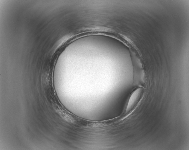 X0000078891163200612042042