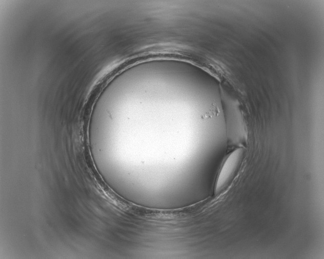 X0000078891164200612042042