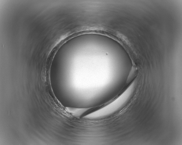 X0000078891165200612042042