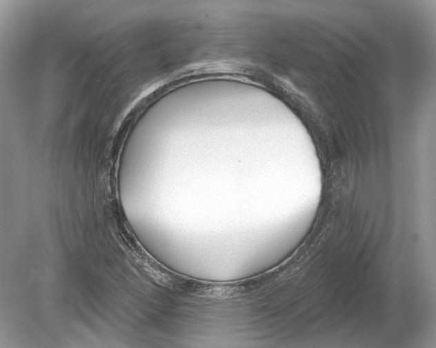 X0000078891166200612042042