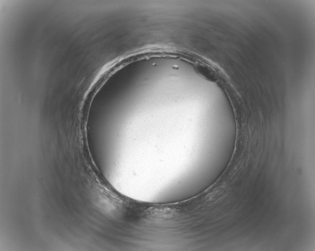 X0000078891168200612042042