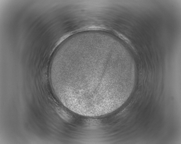 X0000078891170200612042042