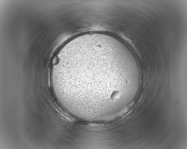 X0000078891171200612042042