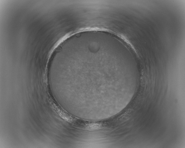 X0000078891173200612042042