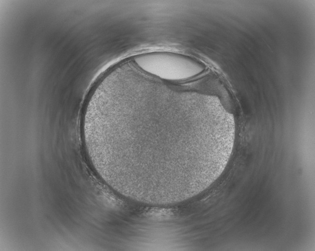 X0000078891174200612042042