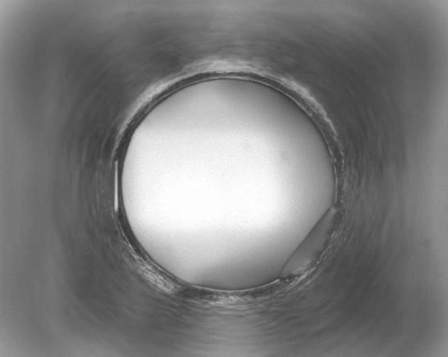 X0000078891175200612042042